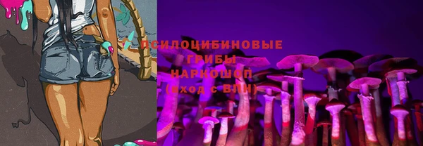 ECSTASY Осинники